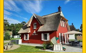 Modernes Reetdach-Ostseeferienhaus Bella Mare, Insel Usedom mit Sauna, Kamin&Sonnenterrasse